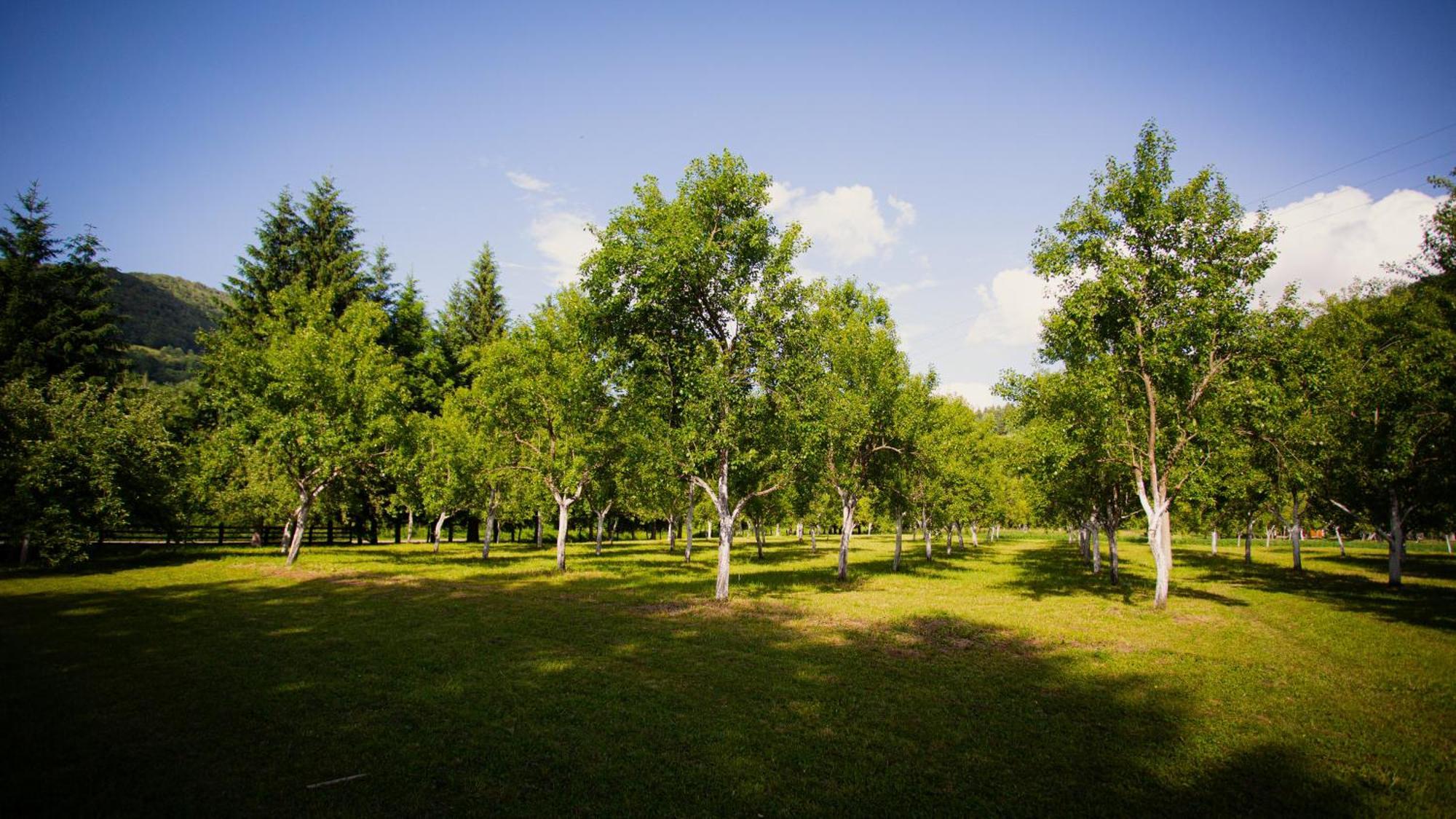Ethno Village Stitarica Мойковац Екстериор снимка